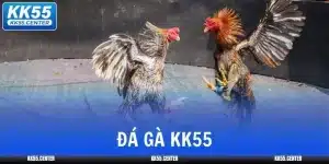 da-ga-kk55