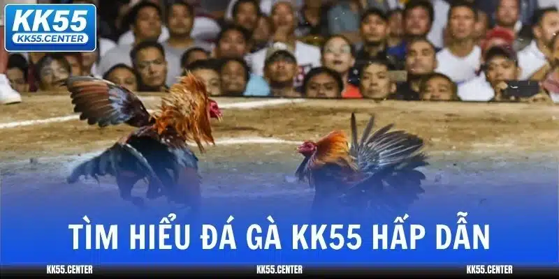 Đá Gà KK55 1 da-ga-kk55-tim-hieu